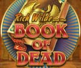 Book of Dead bij Lizaro